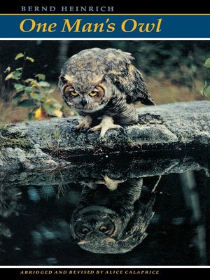 cover image of One Man's Owl